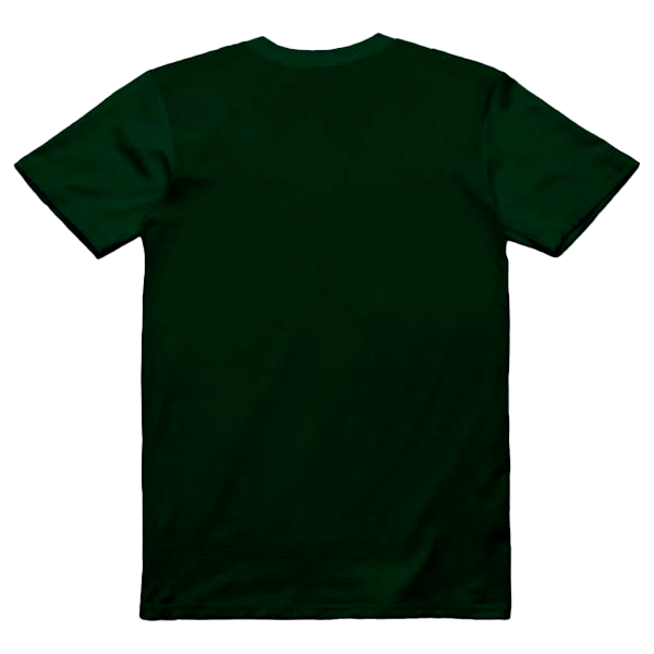 Nossa senhora de Guadalupe2